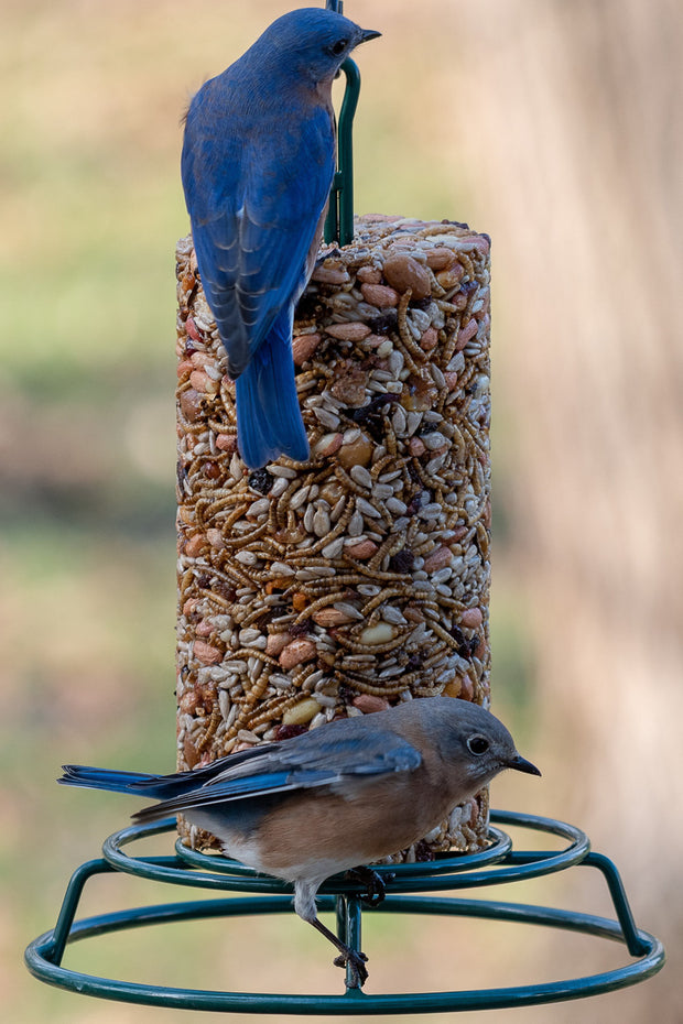 Mr Bird Bugs, Nuts & Fruit Small Cylinder