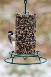 Mr. Bird EZFeeder