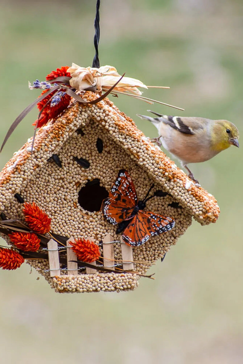 Mr. Bird All Seasons Wren Casita