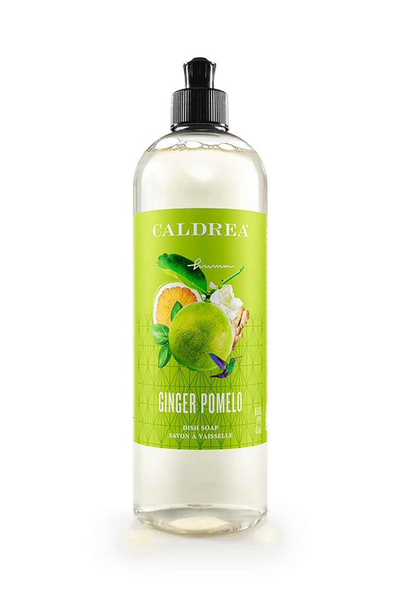 Caldrea Dish Soap Ginger Pomelo