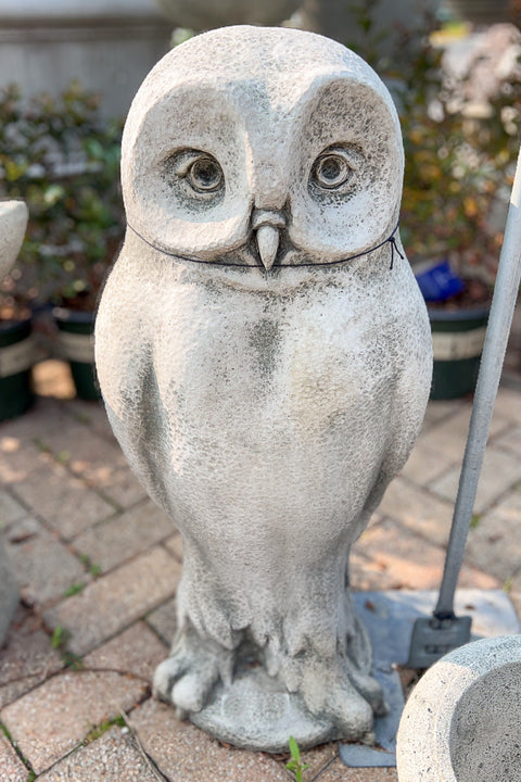 Campania Dr. Hoo Owl Statue 27" AS