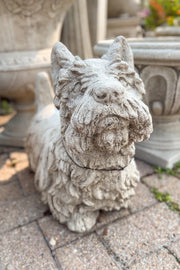 Campania | Angus Scotty Dog Statue | Grey Stone