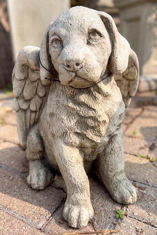 Campania | Angel Puppy Statue | Grey Stone