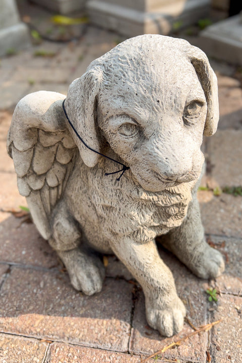 Campania | Angel Puppy Statue | Grey Stone