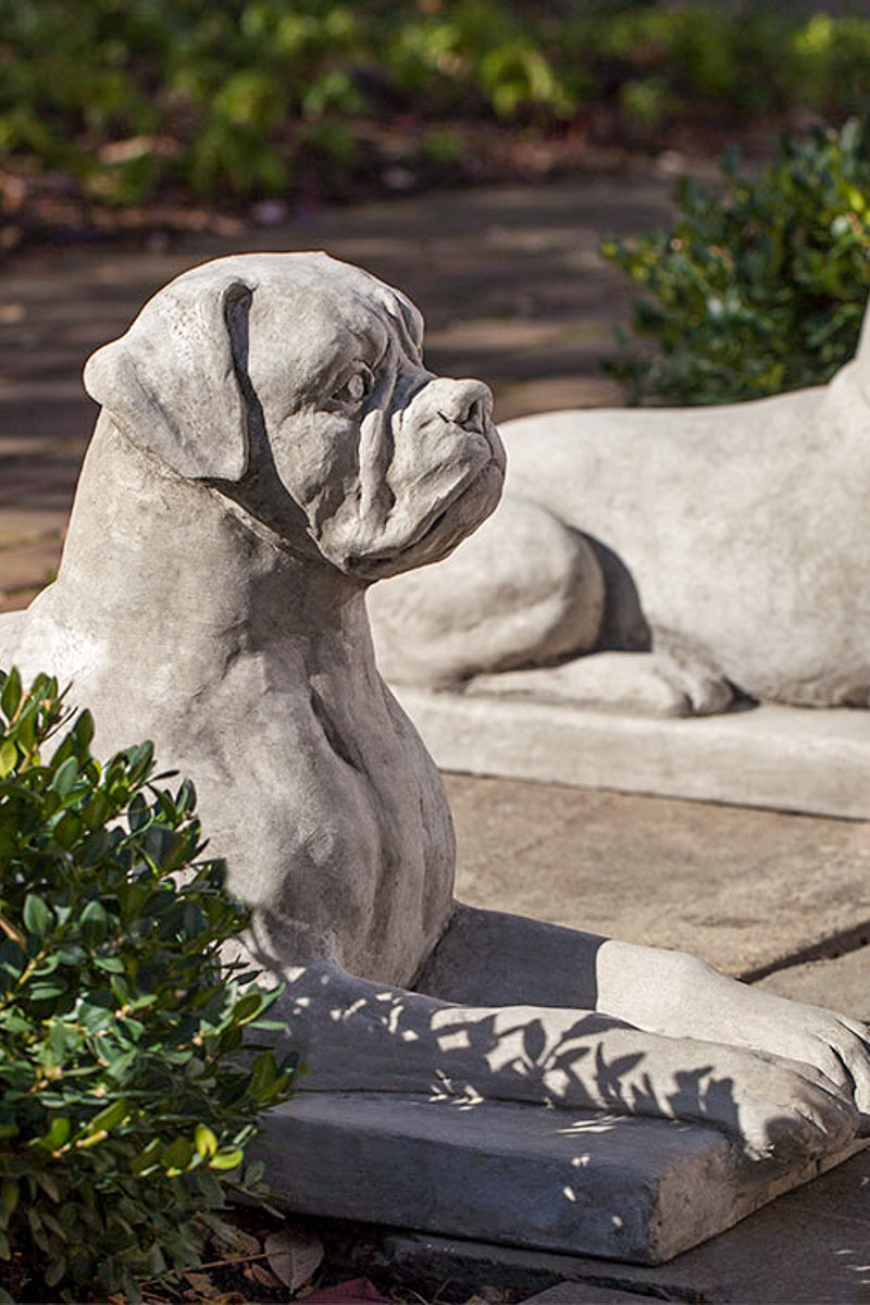 Campania Boxer Dog Statue GS Finish