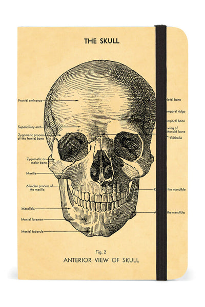 Cavallini & Co. Skull Notebook Small 4"X6"
