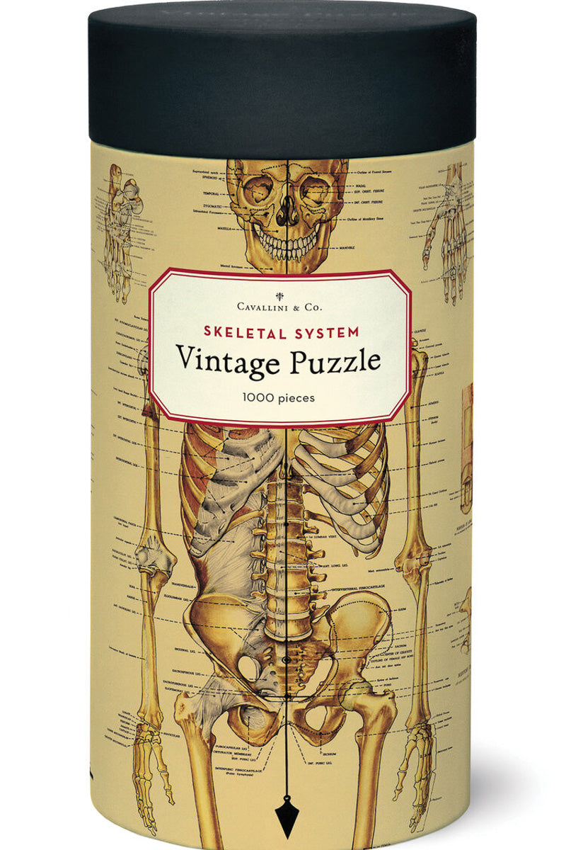 Cavallini & Co. Skeletal System Vintage Puzzle 1000 Pieces