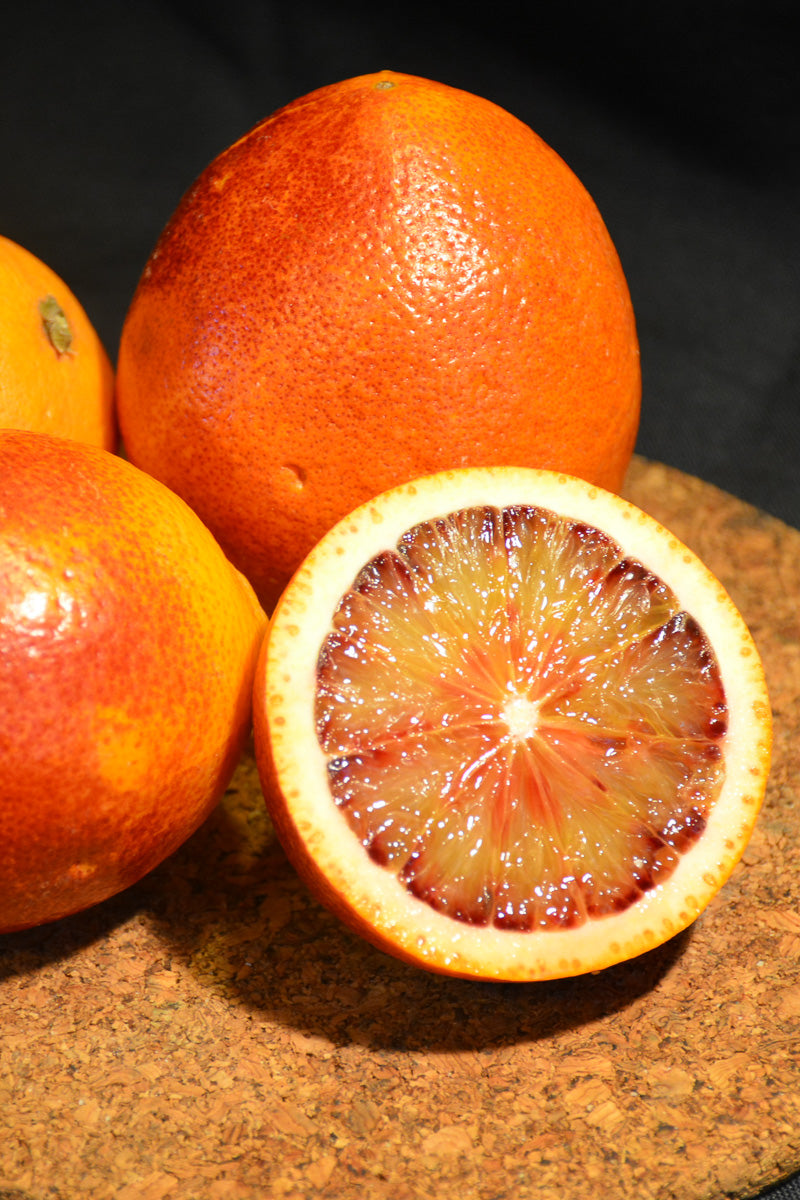 Citrus, Blood Orange 12" Standard