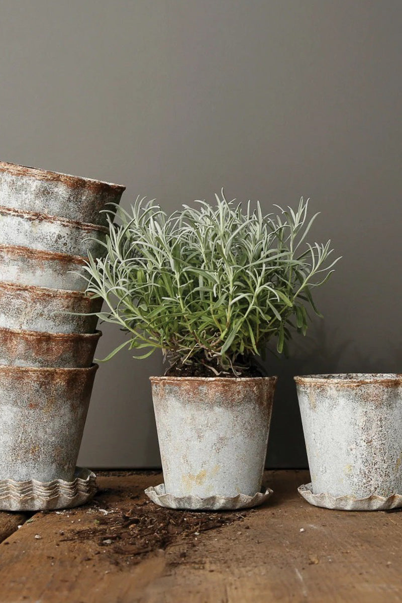 Creative Co-Op Metal Planter with Pleated Saucer 2pc Set