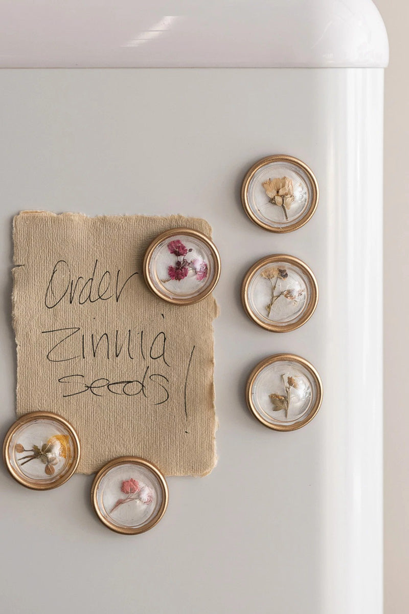 Creative Co-Op Convex Magnets with Botanicals Box Set of 6