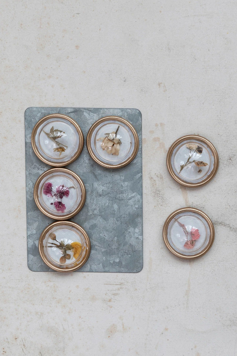 Creative Co-Op Convex Magnets with Botanicals Box Set of 6