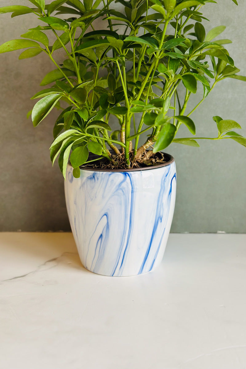 Barclay Butera Marbleized Planter Large