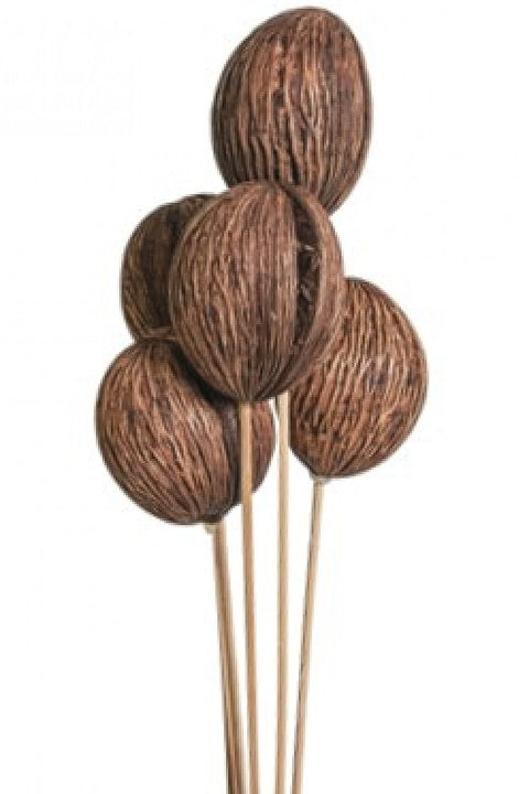 Vyn Dried Mintola Balls Natural (6 Stem)