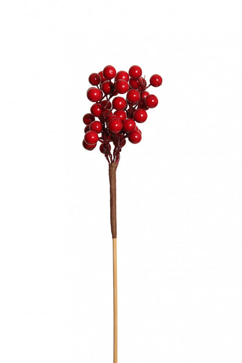 Cranberry Cluster | Red