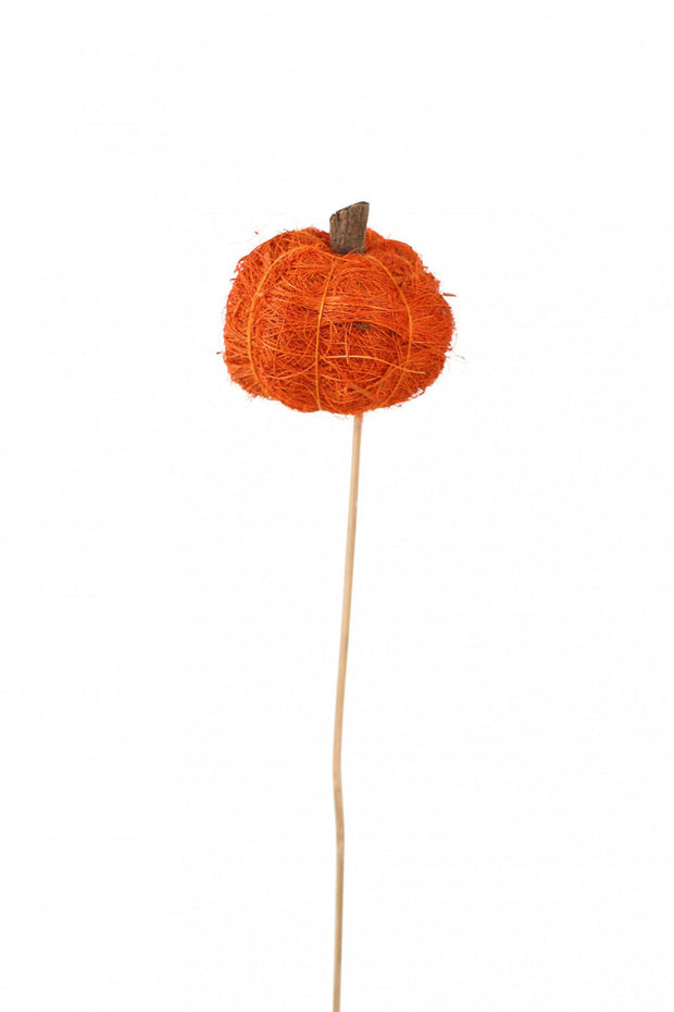 DRIED, FIBER PUMPKIN ORANGE