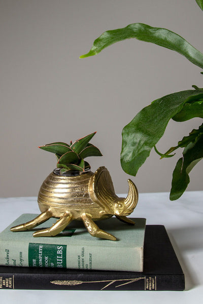 Golden Scarab Pot 7"x6"x4"