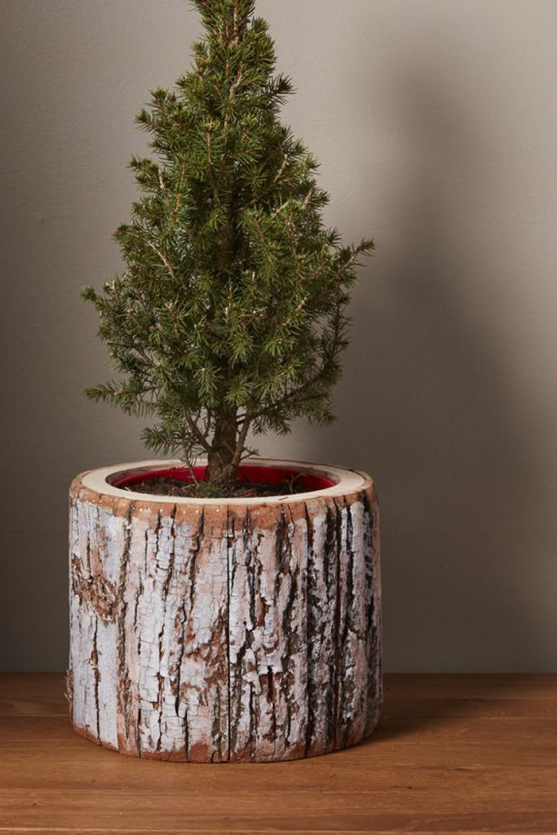 Pinefrost Pot 9.75"x 8"