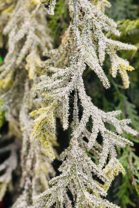 Snowy Juniper Garland with Mini Pinecones 72"