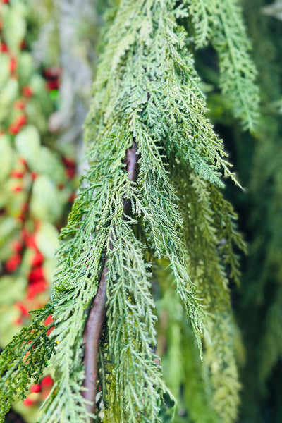 Green Soft Cedar Garland 6' Green