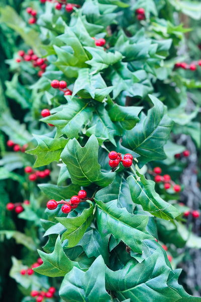 Holly Leaf and Red Berry Garland 48"