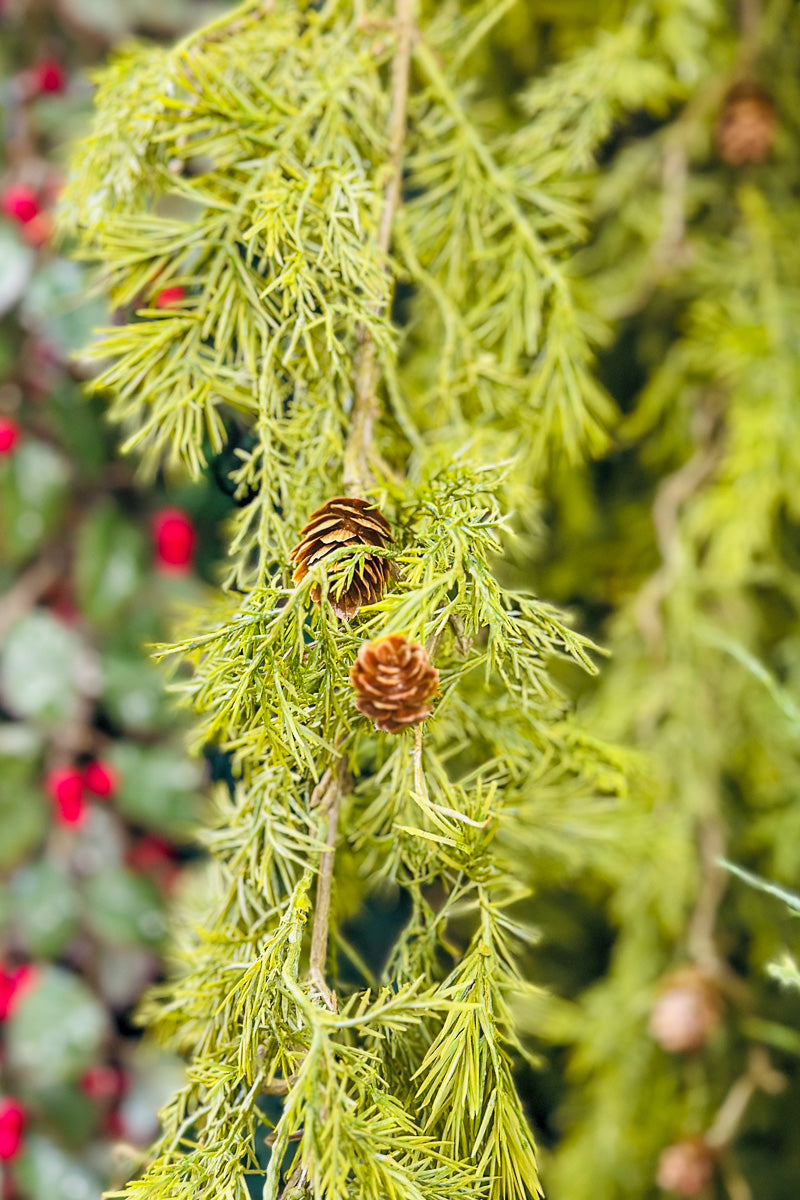 Faux Pine Garland with Pinecone 6'