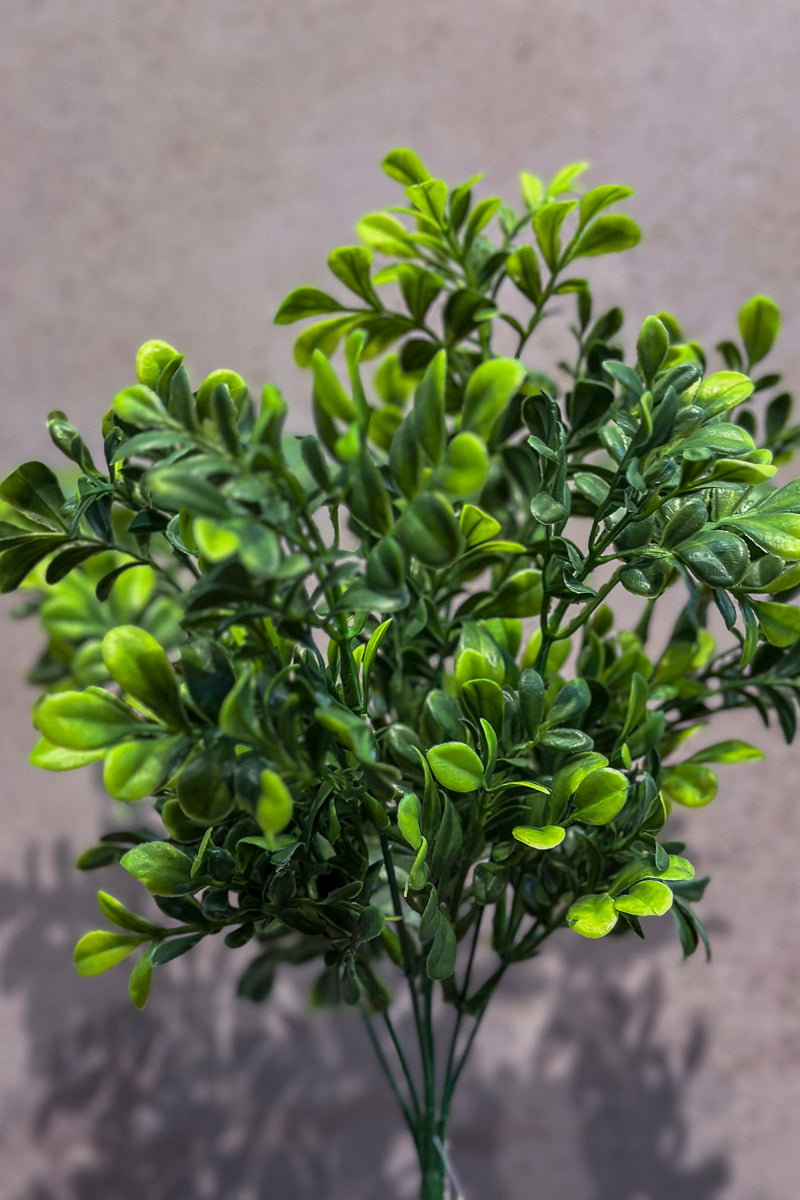 Faux Boxwood Bush 14" Green