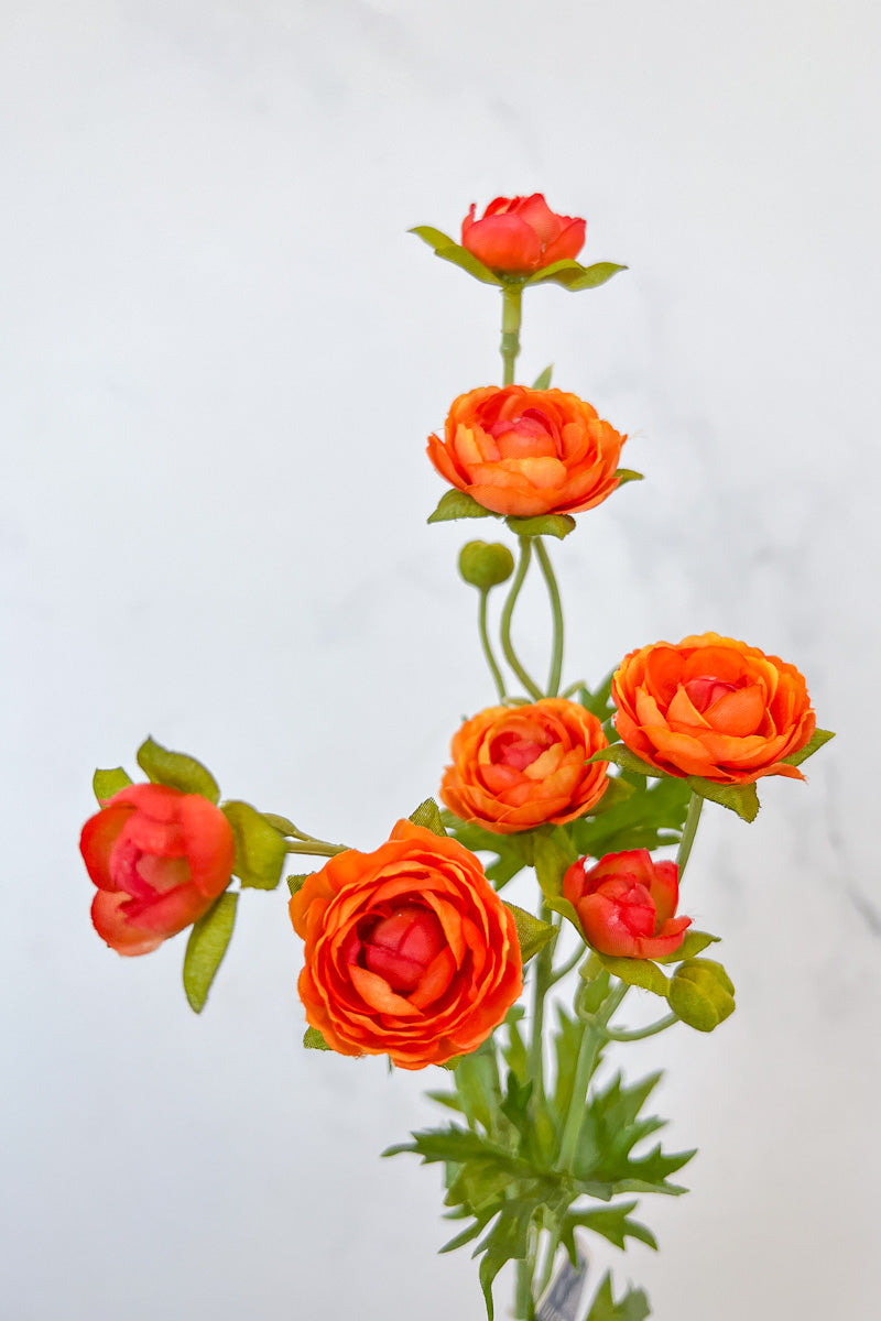 Silk Spray Ranunculus Mini 22" Orange