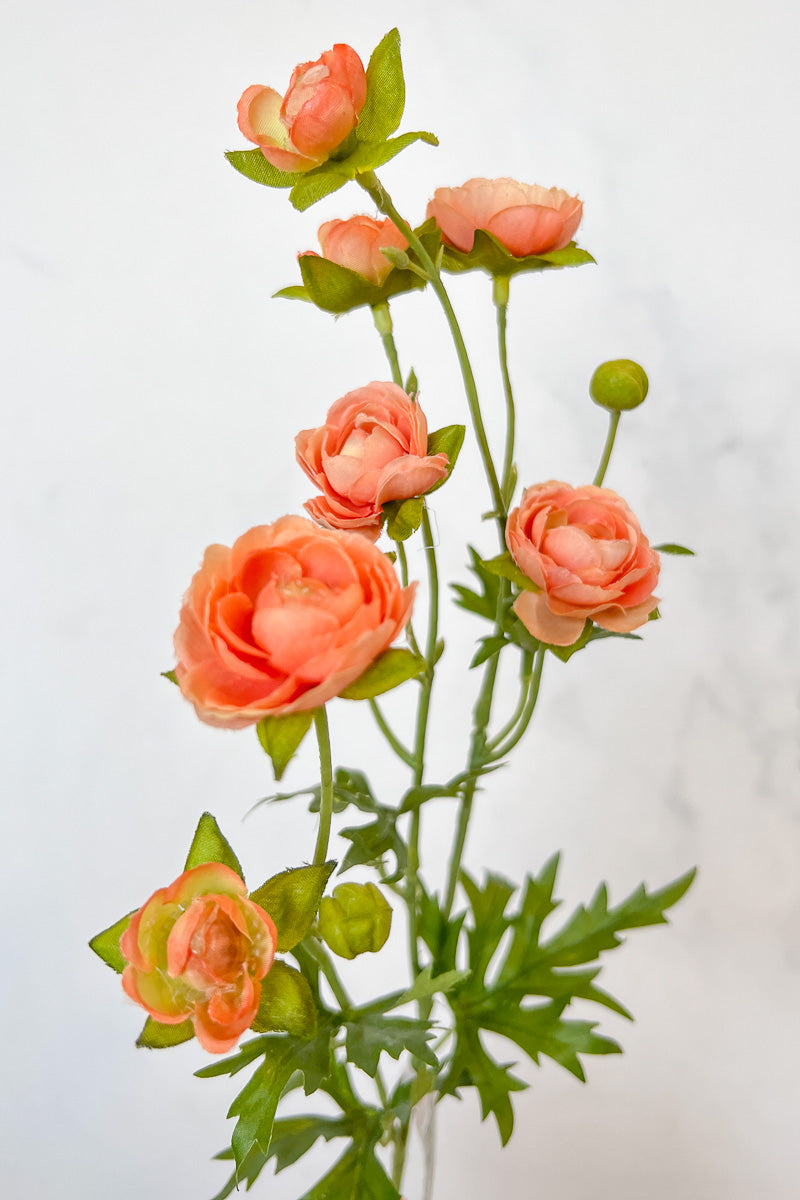 Silk Spray Ranunculus Mini 22" Peach