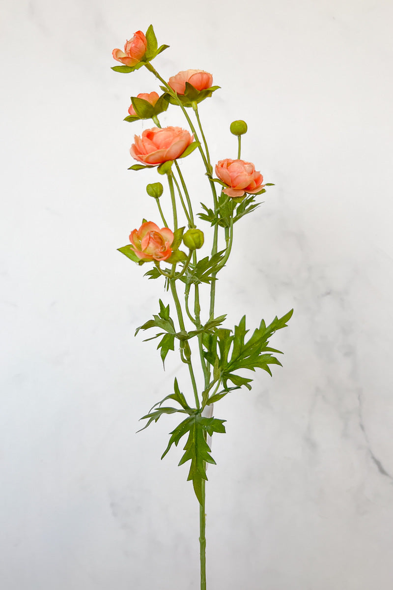 Silk Spray Ranunculus Mini 22" Peach