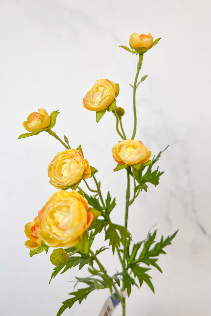 Silk Spray Ranunculus Mini 22" Yellow
