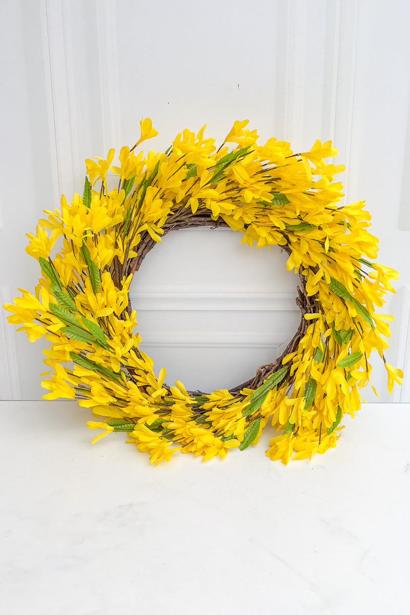 SILK, WREATH FORSYTHIA 24"