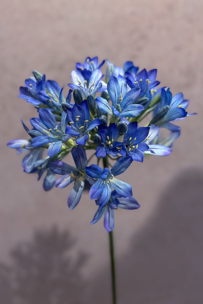 Faux Agapanthus Spray 35" Blue and Burgundy