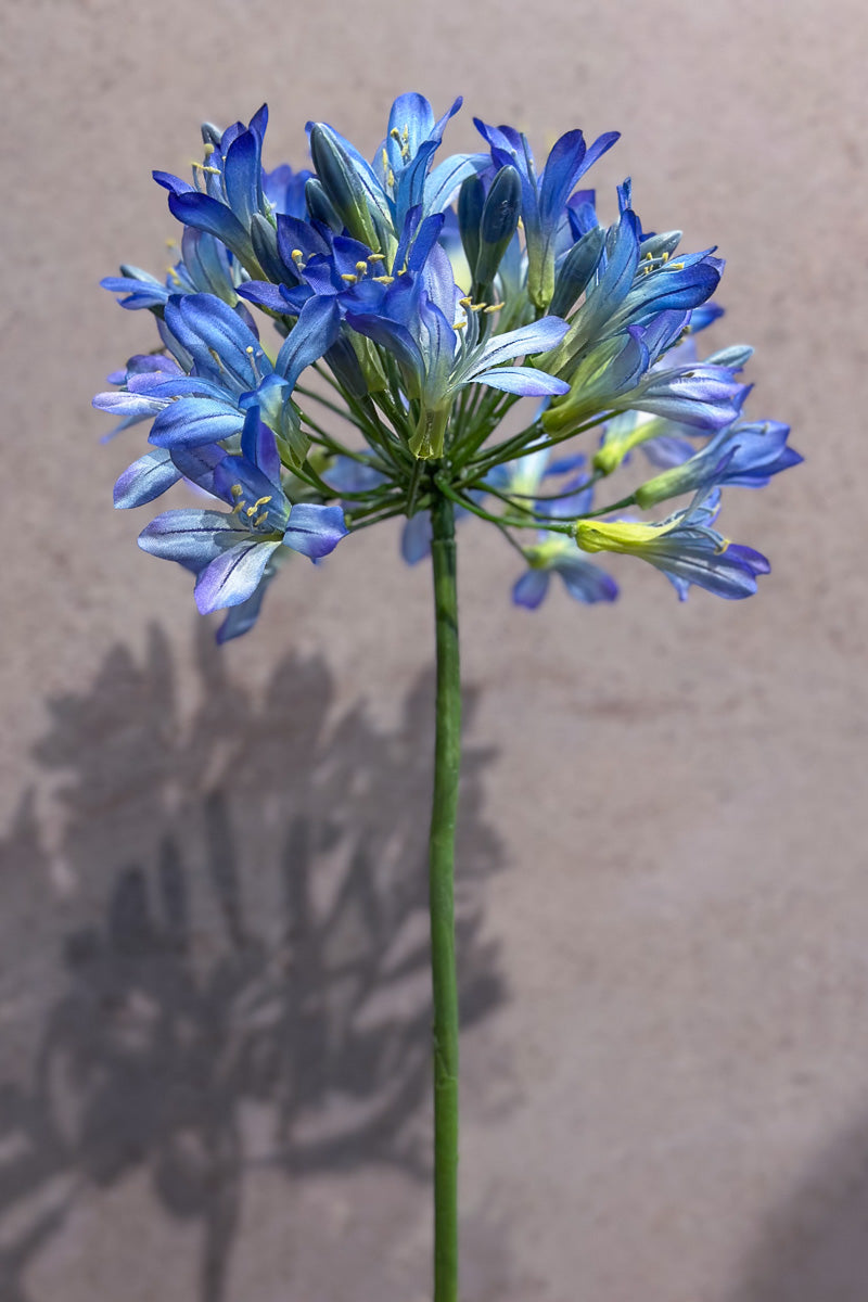 Faux Agapanthus Spray 35" Blue and Burgundy