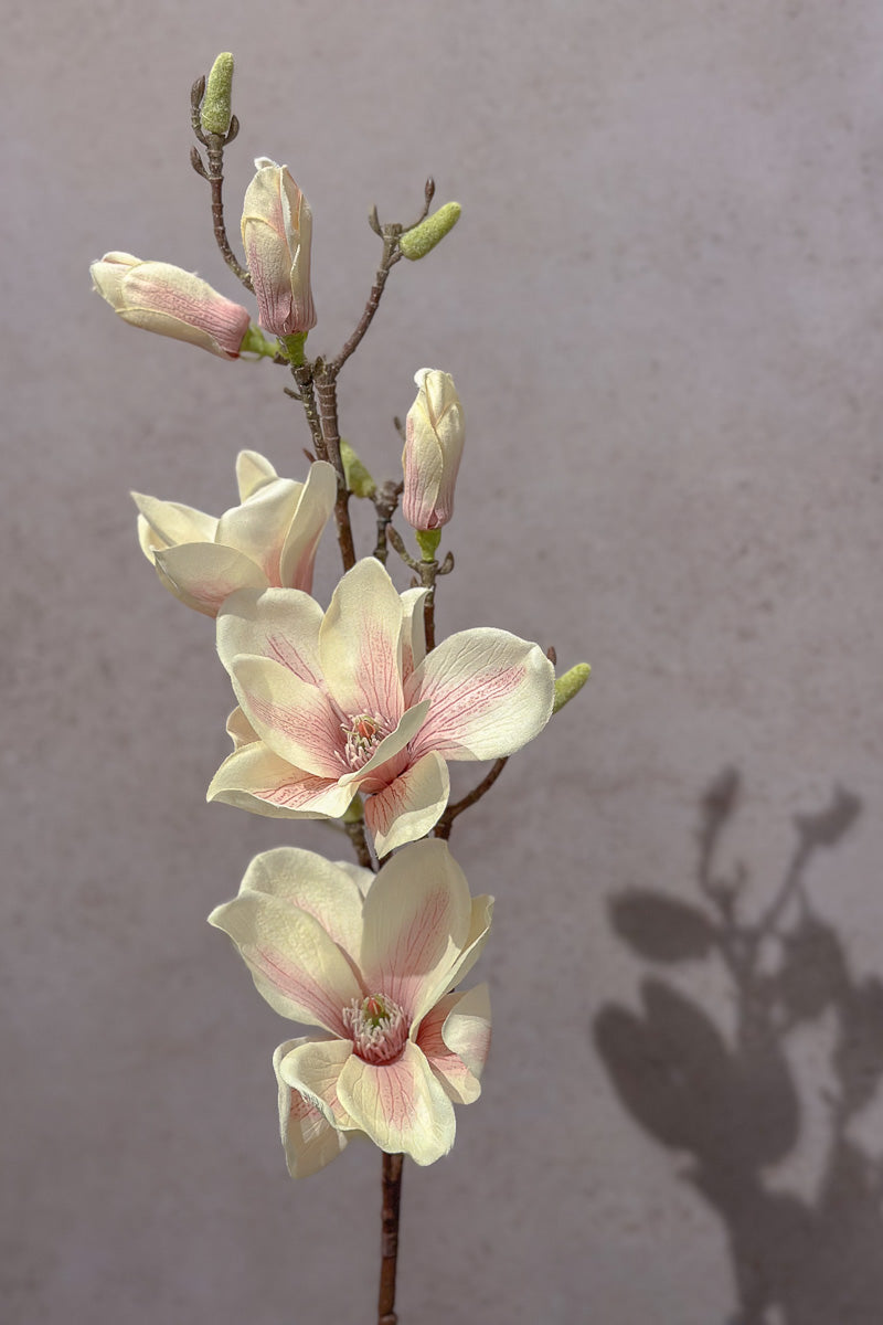 Faux Magnolia Spray 34" Cream Pink