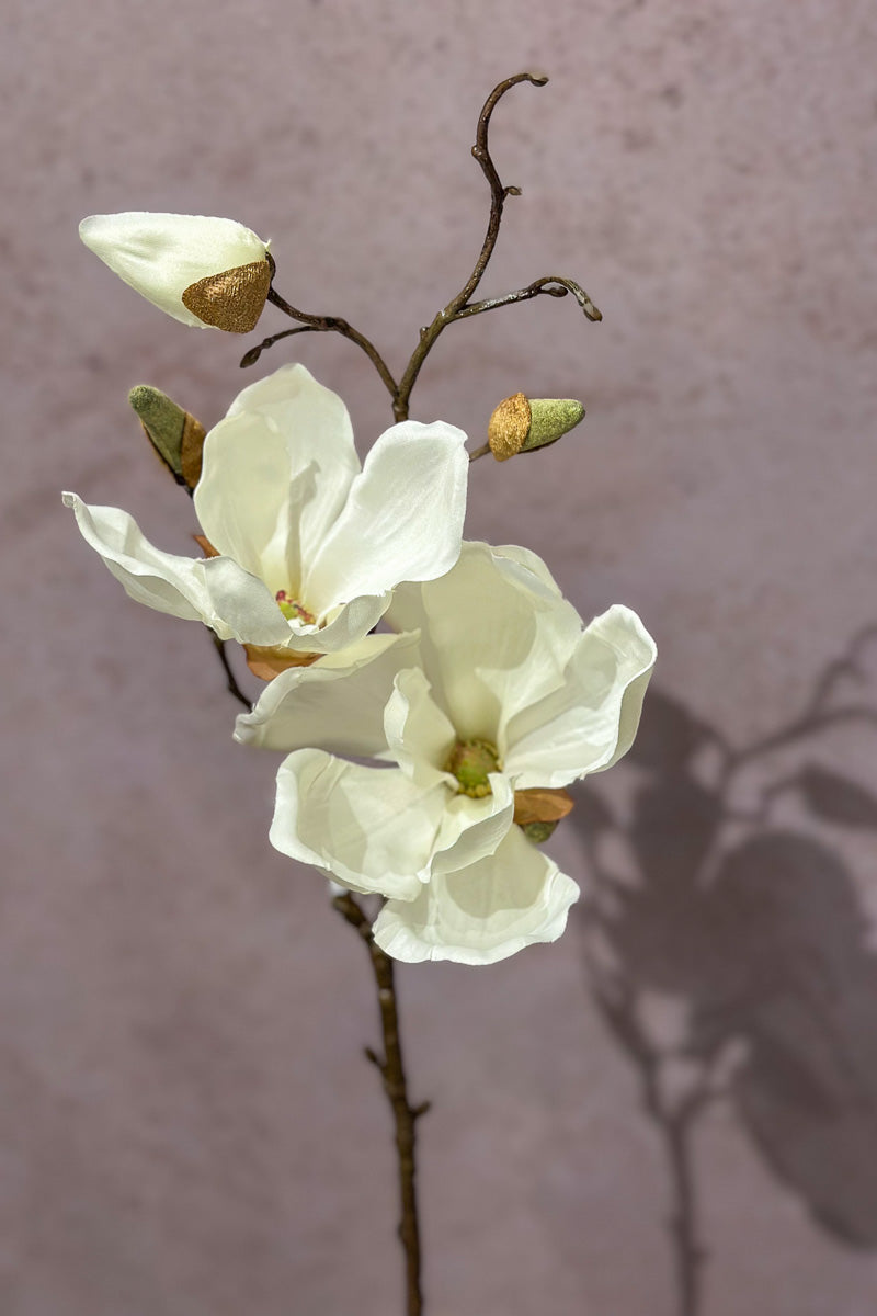 Faux Magnolia Spray 19" Cream