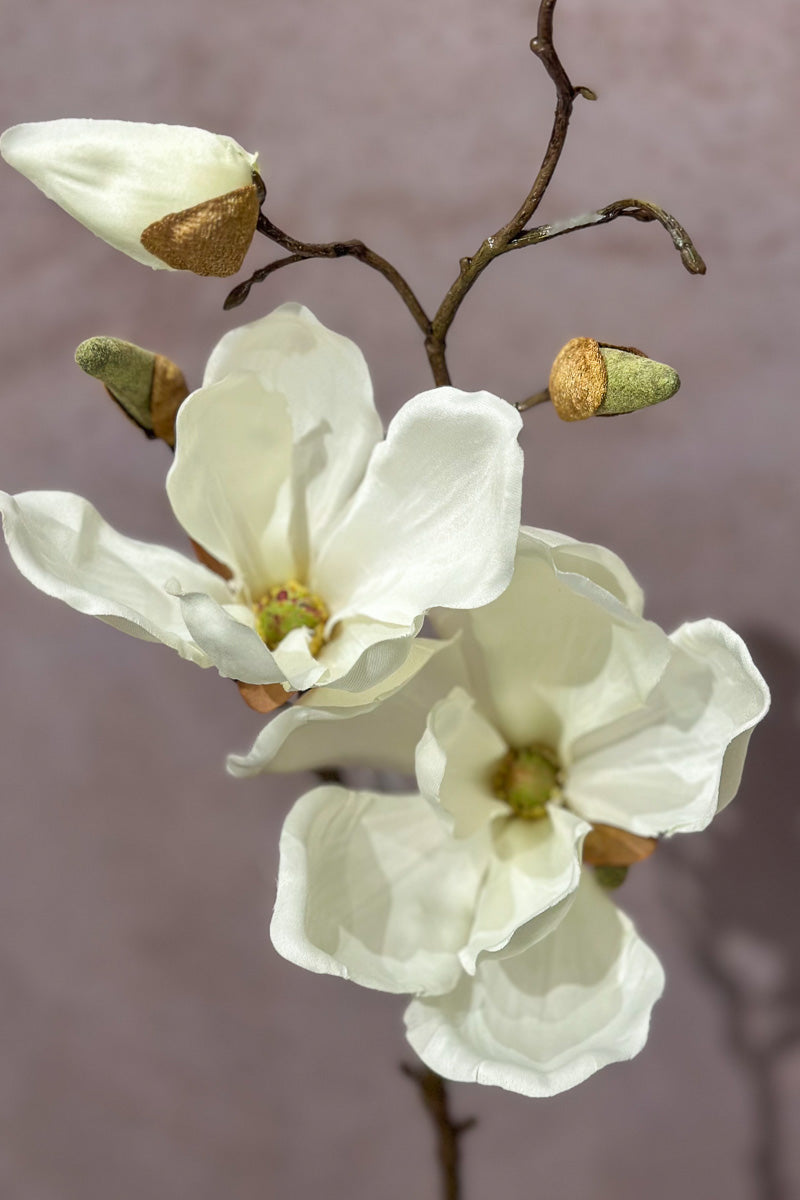 Faux Magnolia Spray 19" Cream