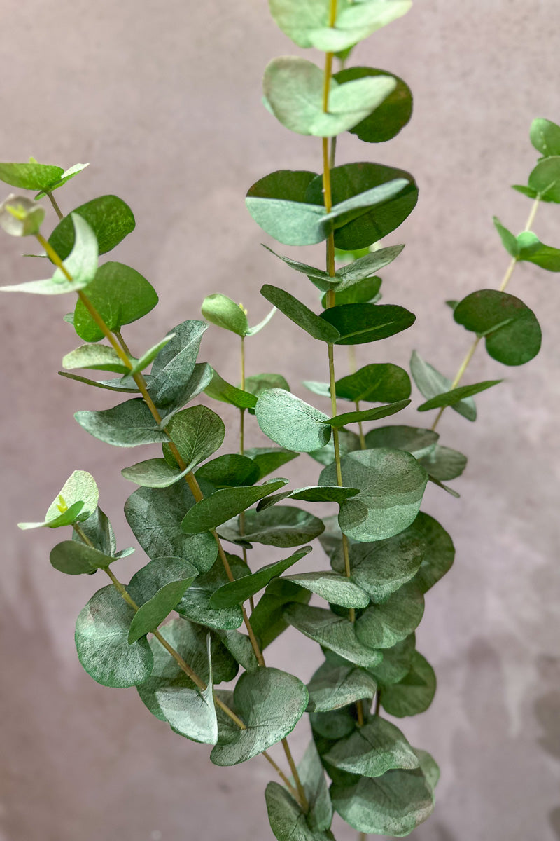 Faux Eucalyptus Leaf Spray 40" Green Gray