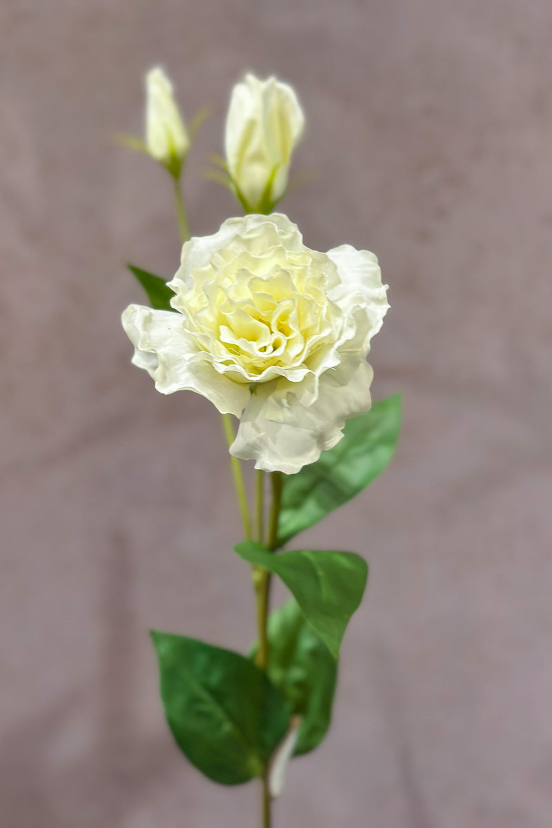 Faux Lisianthus Stem 22" White