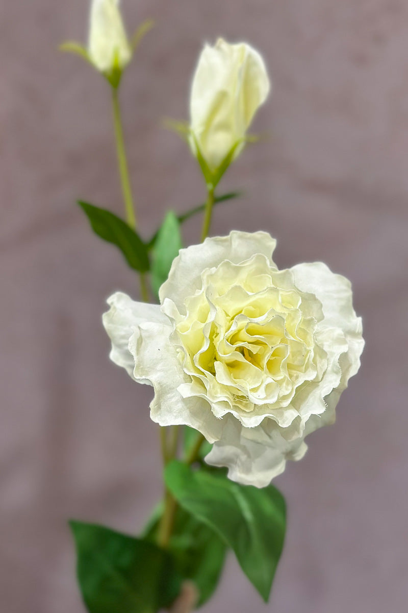 Faux Lisianthus Stem 22" White