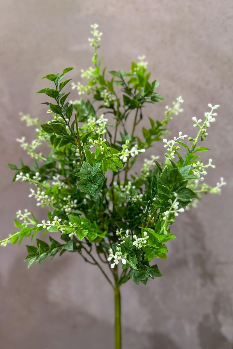 Faux Mint Leaf & White Berry Bush 19"