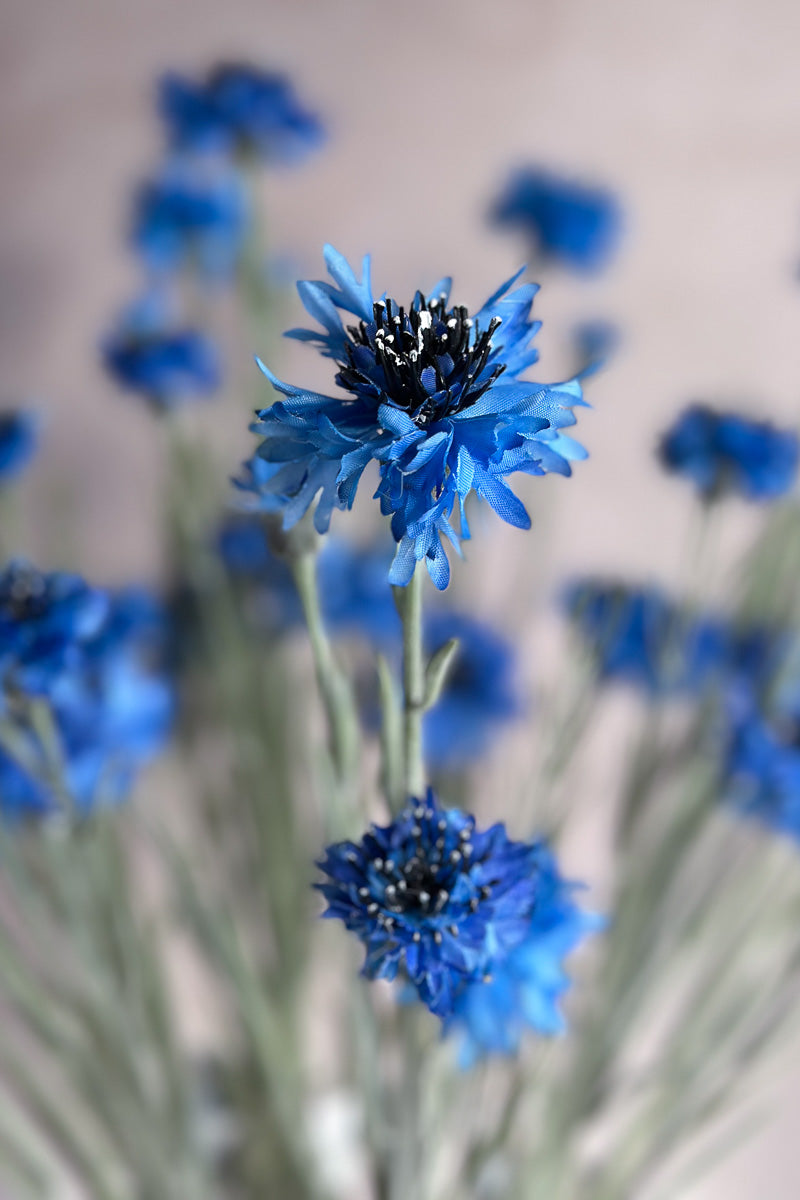 Faux Cornflower Spray 27.5" Blue