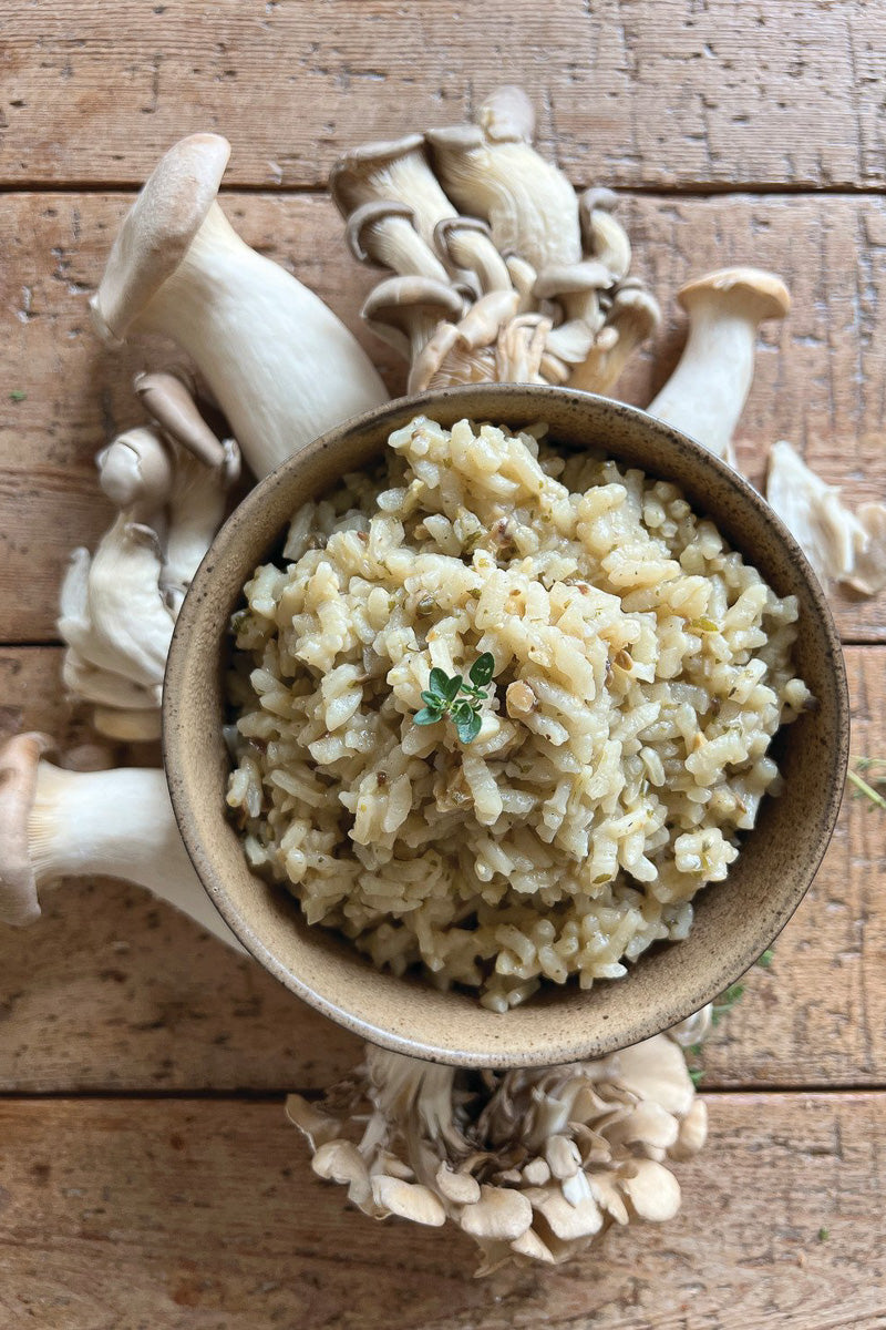 Finch + Fennel Porcini Mushroom Risotto