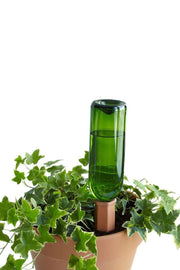 Plant Nanny Recycle A Wine Bottle Stake