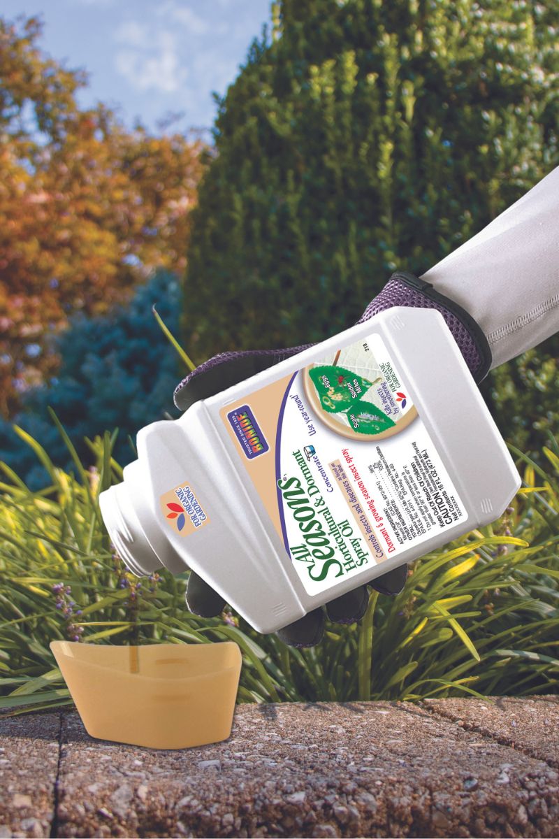 Bonide All Season Dormant Spray Oil 1 Gallon