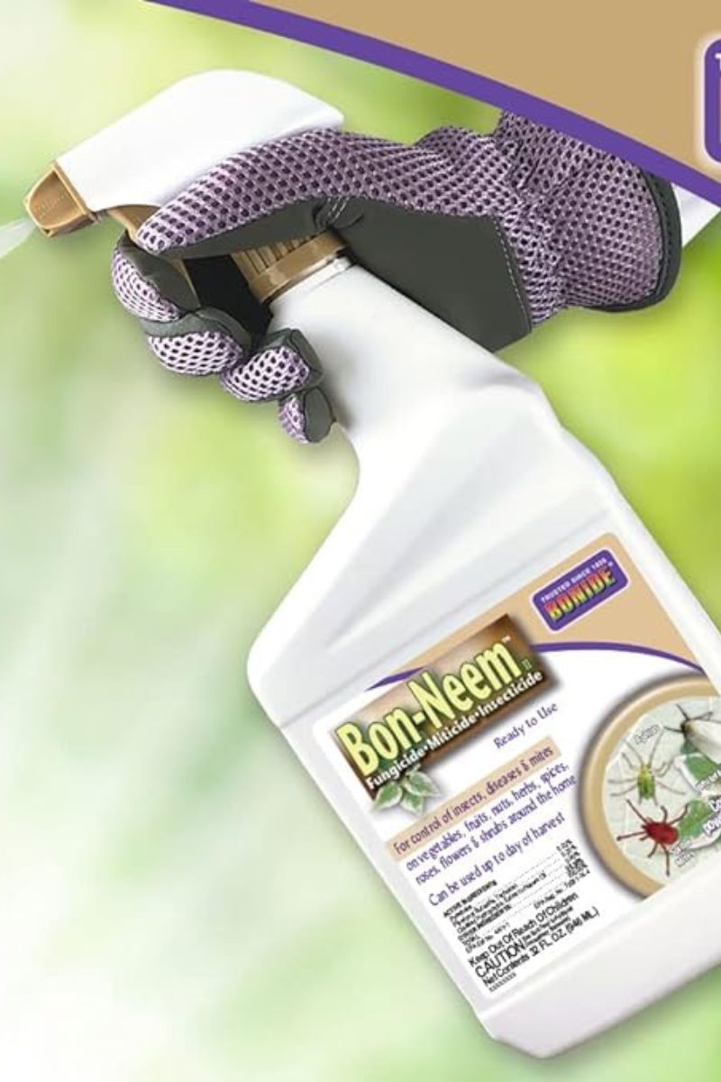 Bonide Bon-Neem II Fungicide 32 oz Ready-to-Use Spray