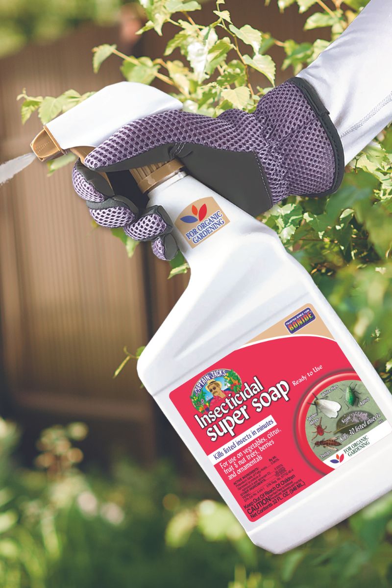 insecticidal soap spray Bonide Insecticidal Soap RTU