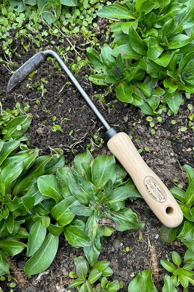 DeWit Hand Cape Cod Weeder for Right Hand 10.5"