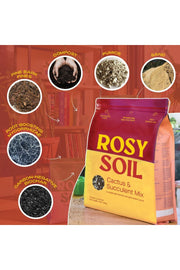 Rosy Soil Organic Cactus & Succulent Mix 4 qt