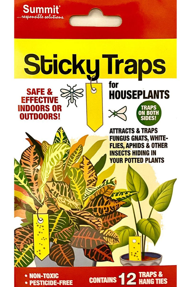 Houseplant Sticky Traps 12 count