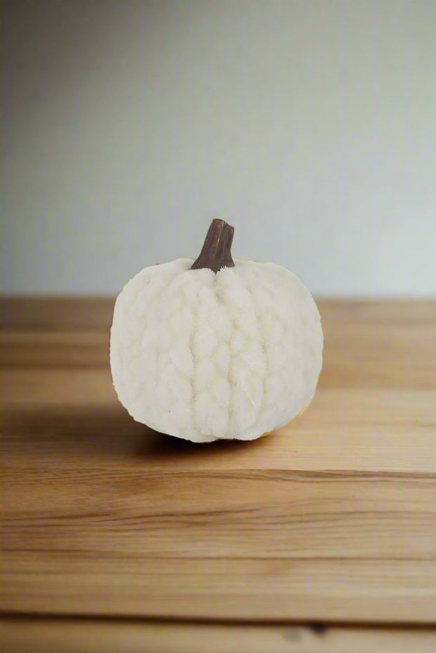 Braided Filler Pumpkin 2.75" White